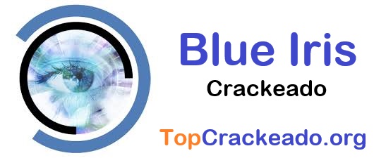 Blue Iris Crackeado